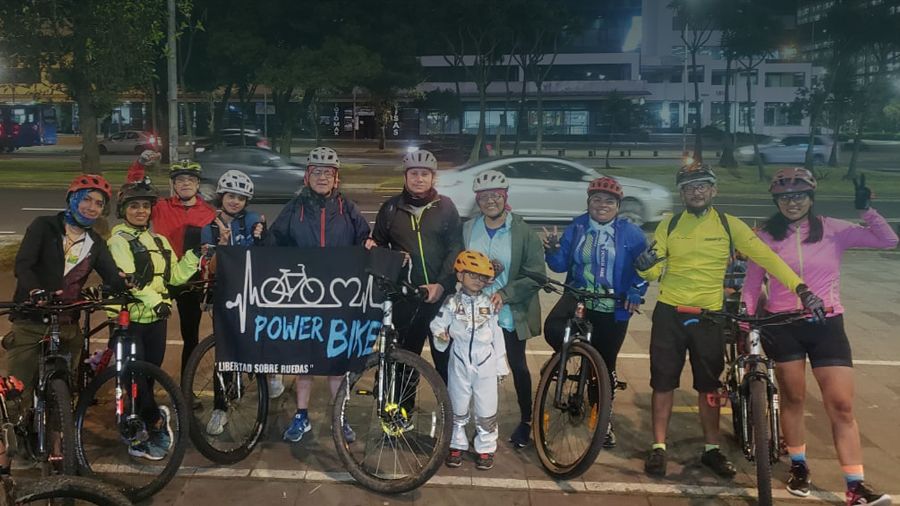 Small yellow flowers growing from stone.