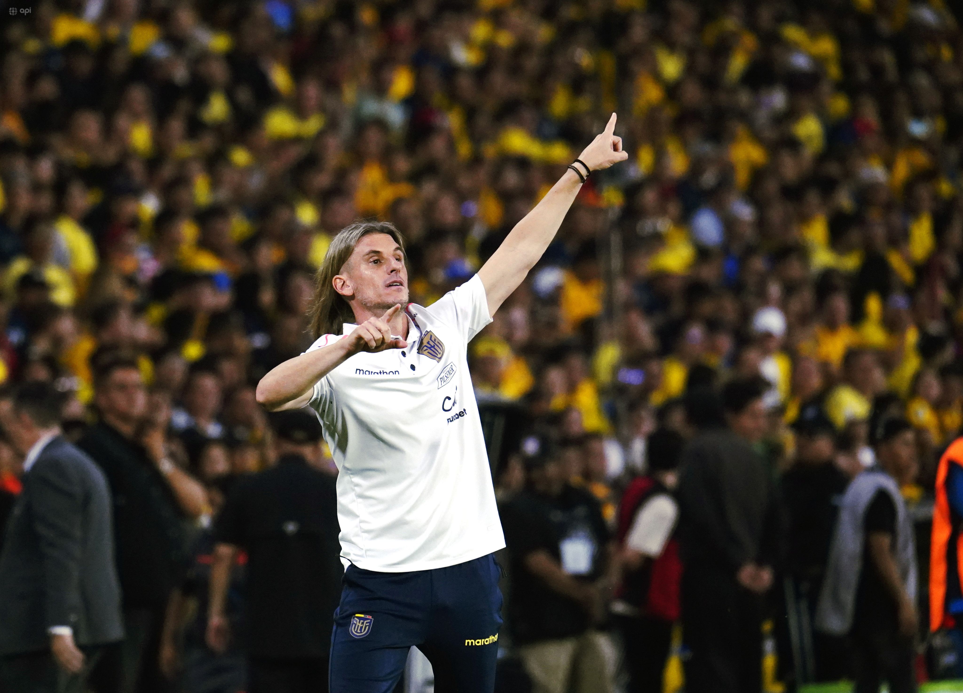 Sebastián Beccacece, DT de Ecuador